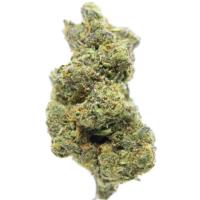 28 Grams of AppleFritter Full Spectrum THCa Flower 28 Grams of AppleFritter Full Spectrum THCa Flower