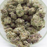 14 Grams of Mac&Gary Full Spectrum THCa Flower