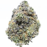 14 Grams of Oreoz Full Spectrum THCa Flower