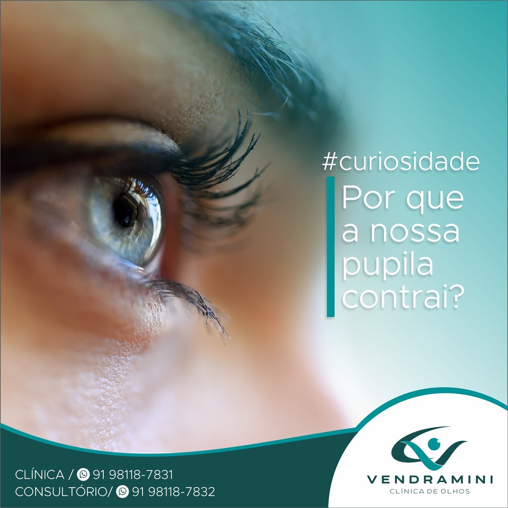CURIOSIDADES: POR QUE A NOSSA PUPILA CONTRAI?