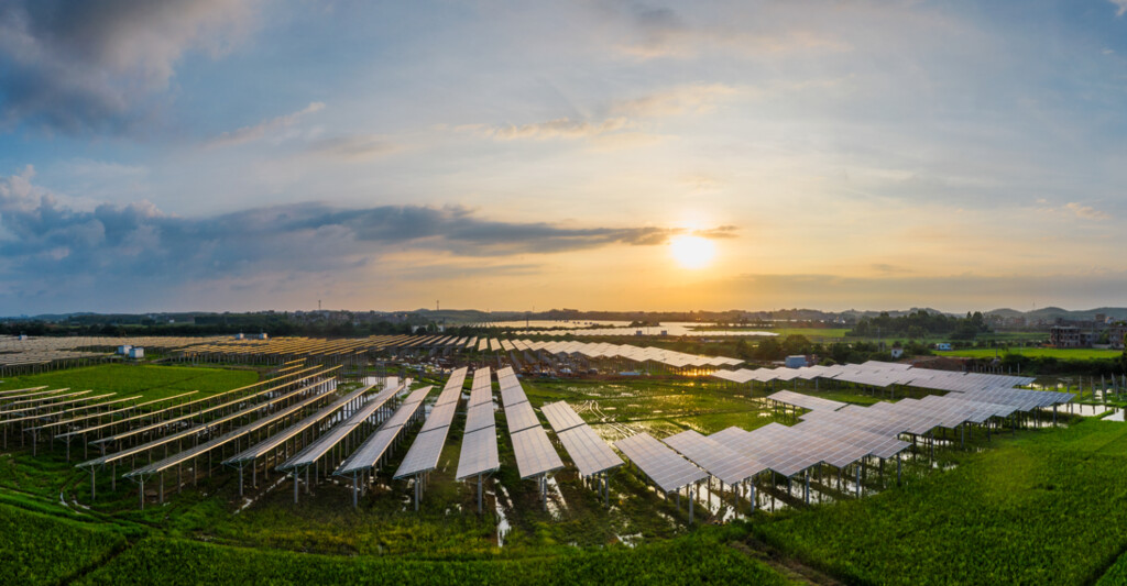 Economia a longo prazo: Descubra como a energia solar pode reduzir sua conta de luz
