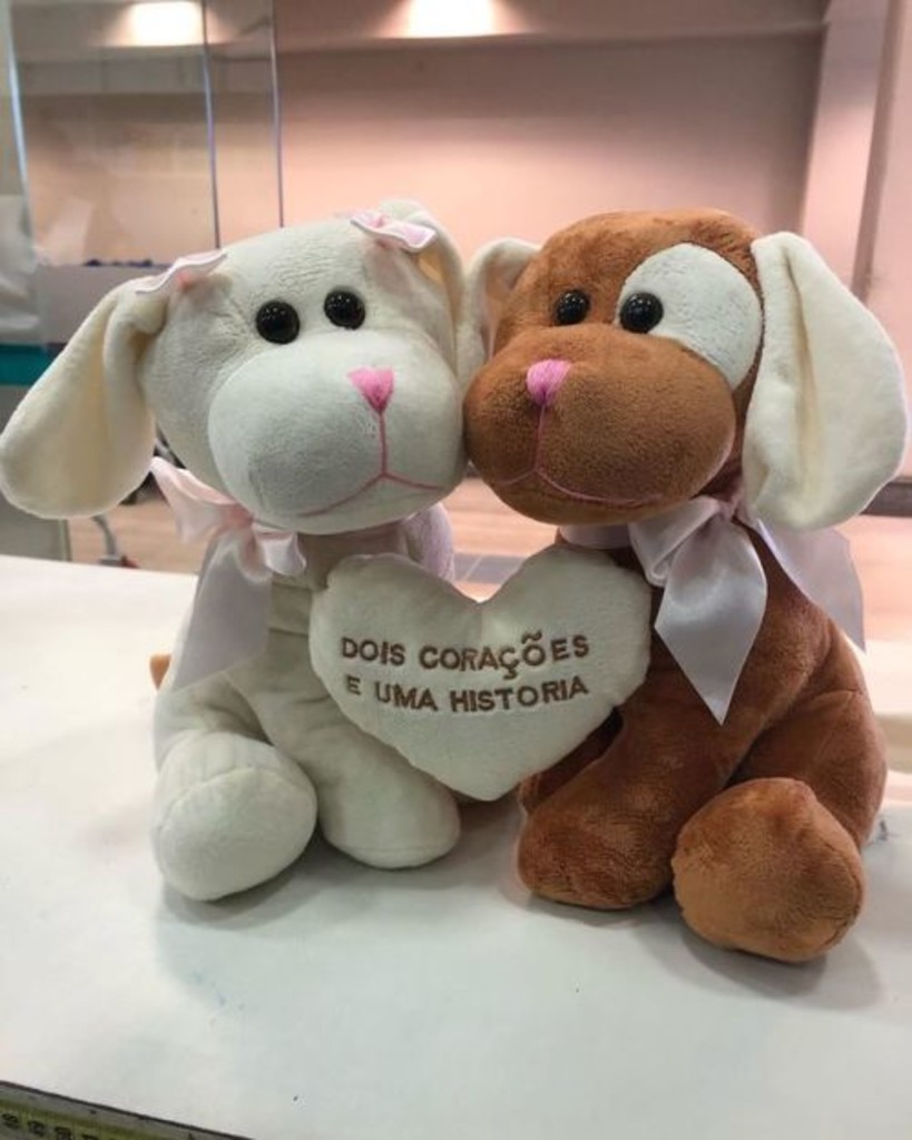 Não deixe de trazer seus bichinhos de pelúcia