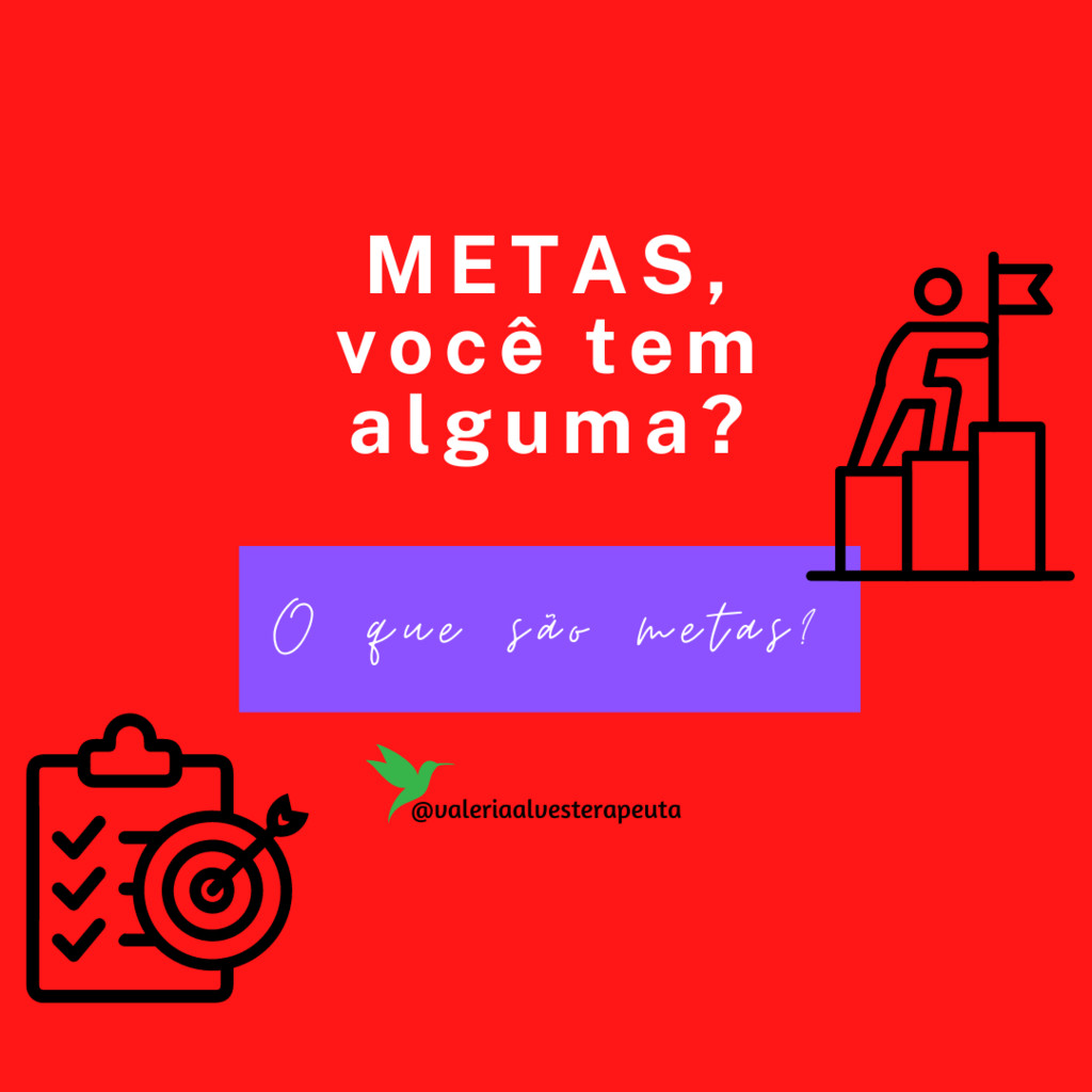 METAS, você tem alguma? O que são essas Metas?