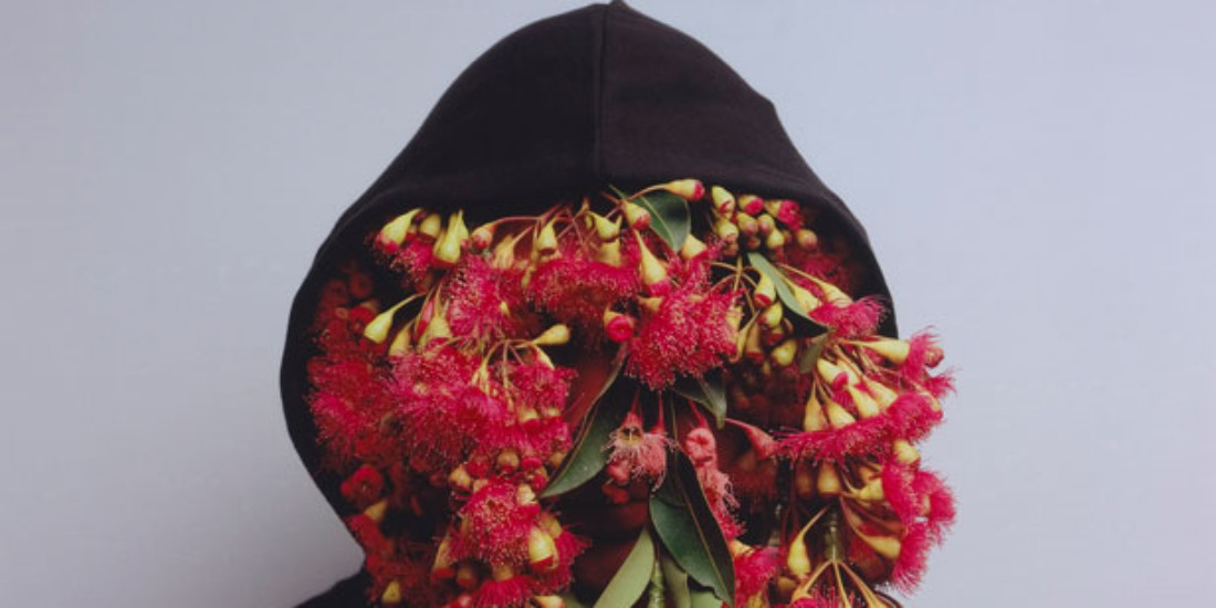 GOMA indigenous art exhibition