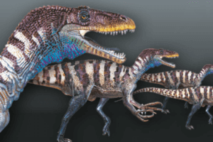 A Night at the Museum