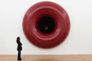 Anish Kapoor – Untitled 2006-07