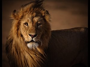 Hqdefault-medium