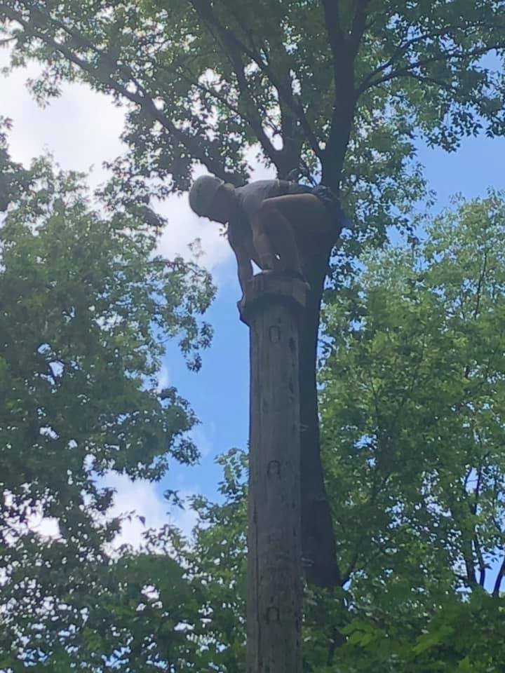 66340629 2745932518753679 4975022092547260416 n original