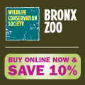 Bronx Zoo