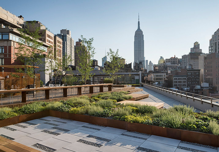 Landscaped rooftop at a Manhattan Flatiron office space rental property at 50 w 23rd st by Two Trees.