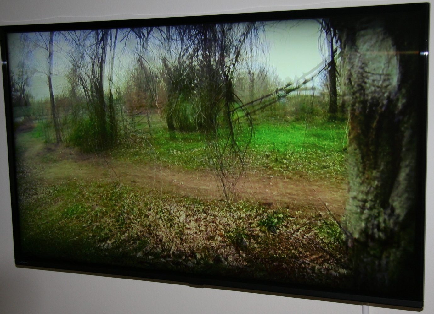 Visual Distortions 2