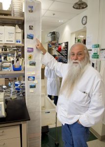 Randall Cohrs, PhD, with a printout of the genetic sequence of the varicella-zoster virus he studies