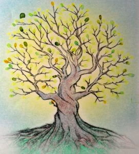 drawing of the tree of life