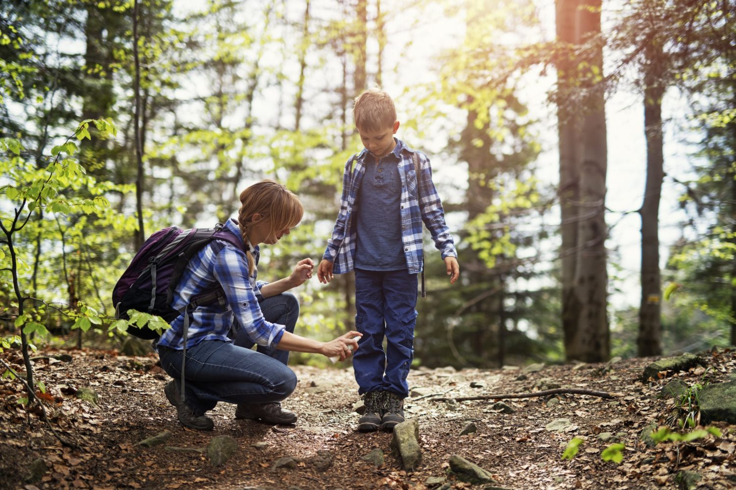 How many ticks live in the forest, on clothes, after a bite, without food, without a proboscis 91 How many ticks live in the forest, on clothes, after a bite, without food, without a proboscis 78