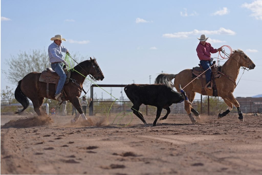Archie Chant and Jason Stoneback on their horses. They are roping a steer. They've completed a pass and both men have caught the steer.