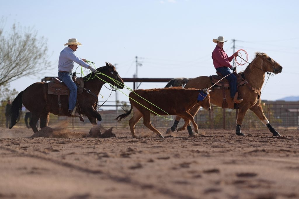 Archie Chant and Jason Stoneback rope together. Both men are on horses and they've managed to stop a running steer together. Stoneback helped Chant heal so he could ride, rope and ranch again.