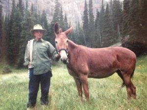 Jim Bailey leads a mule in through the forest.