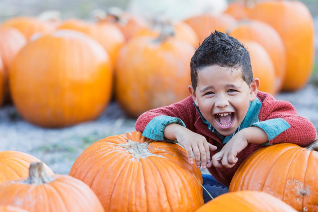 young boy leans on pumpkins in a pumpkin patch. Now is a great time to pick your own pumpkins
