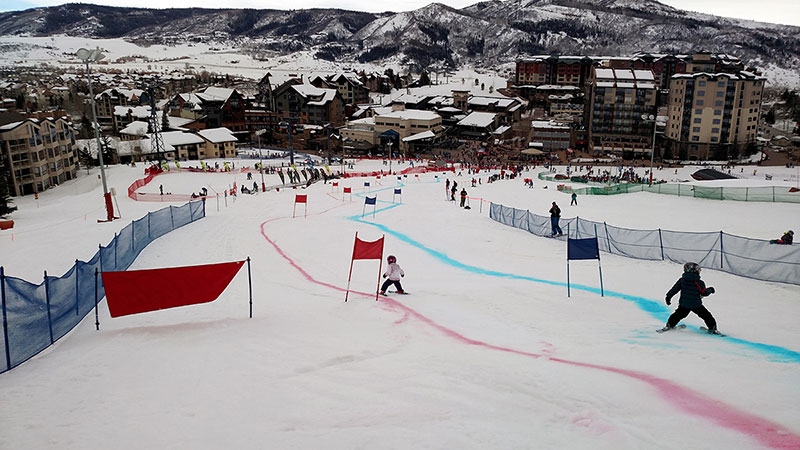 Two young skiers go down a race course in this photo.
