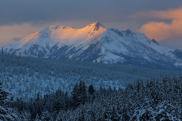 Enjoy Extraordinary Human Connections online during the COVID-19 pandemic, including virtual tours or Yellowstone National Park.