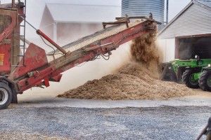 Farm machinery transports switch grass inside a Delmarva poultry house