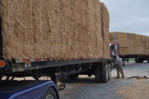 two trucks with straw