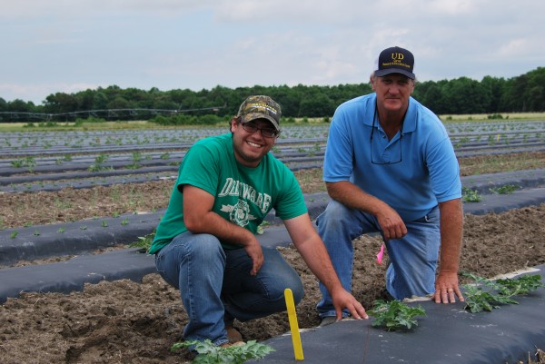 siefrit and johnson kneeling by watermelon row