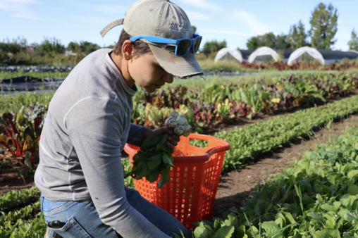 Screenshot 2026 02 03 at 12.48.27%e2%80%afpm