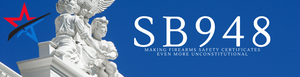Banner sb 948 (970 x 250 px)