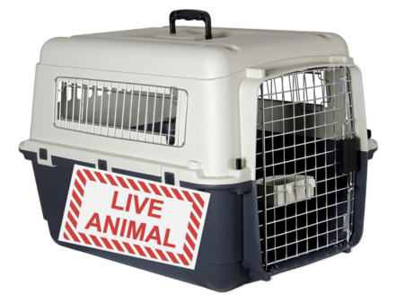 Screen shot 2026 02 13 at 4.29.28 pm