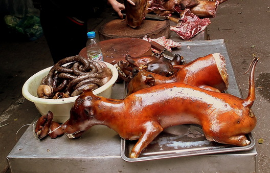 Dog meat for sale in a market in hanoi  vietnam (6827793370) (cropped)