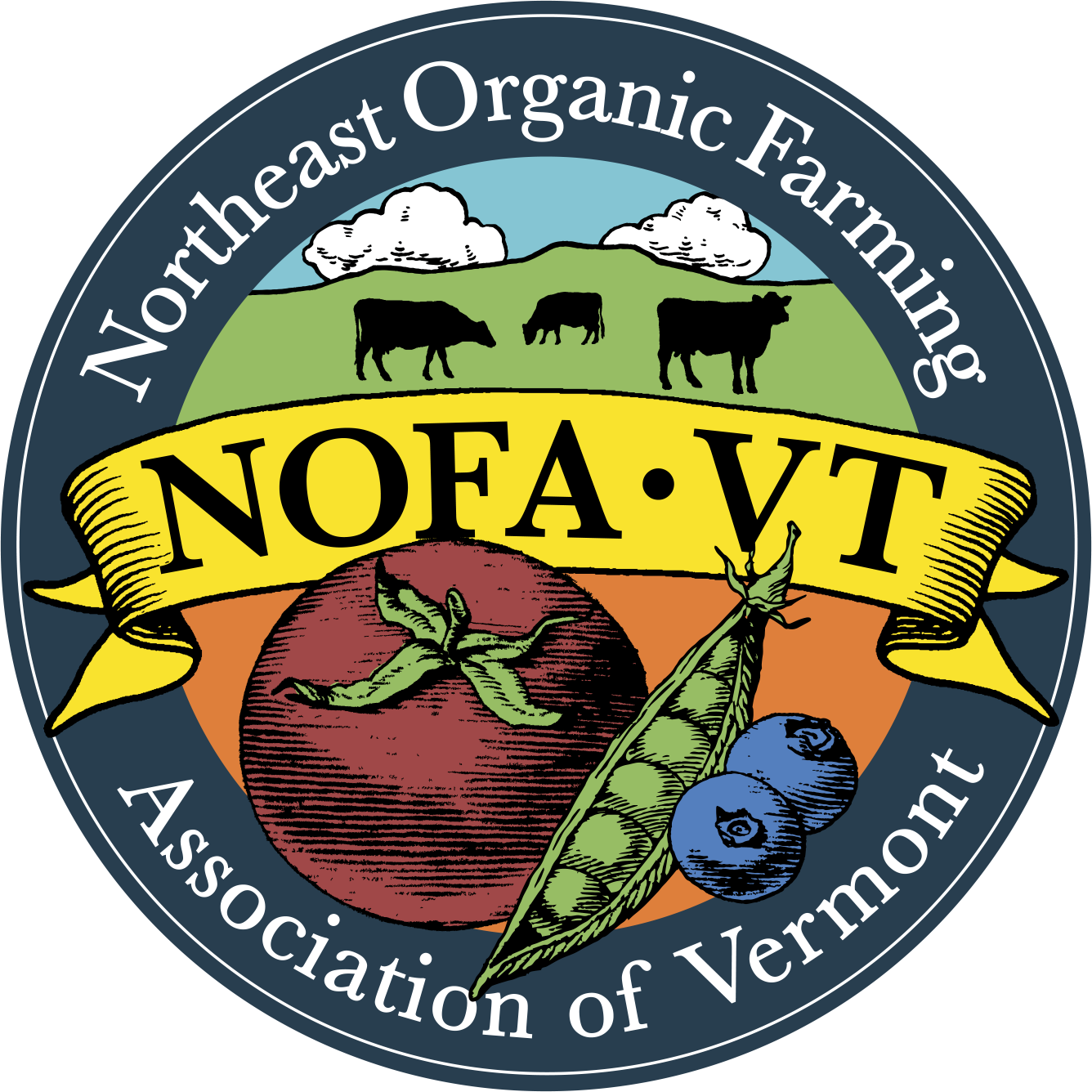 Nofa logo transparent background copy (2)