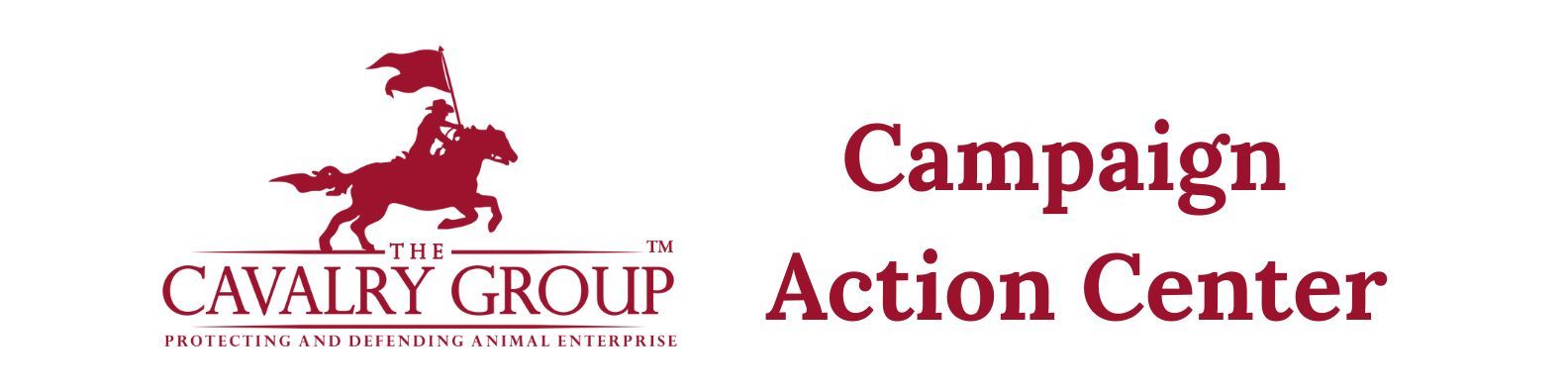 Campaign action center copy