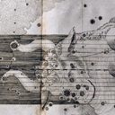 Stars and Constellations