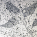 Stars and Constellations