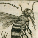 A New Pope and a New Dialogue