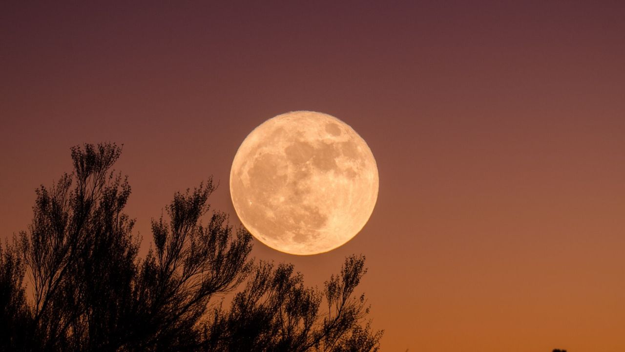 Full-Orange-Moon
