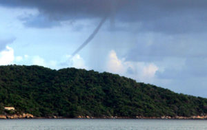 Culebra de agua frente a playa Revolcadero