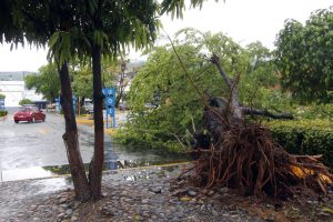 Las lluvias de Calvin en Acapulco