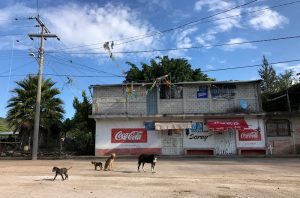 Vigilan policías y militares pueblos vacíos de Chilapa
