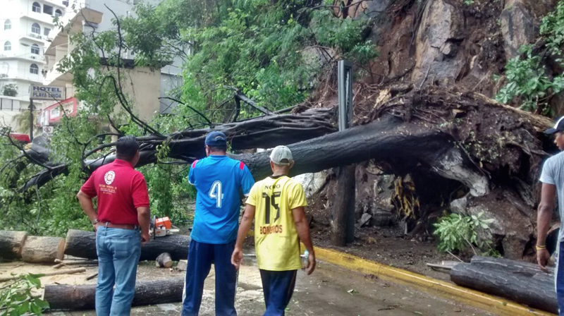Foto: El Sur