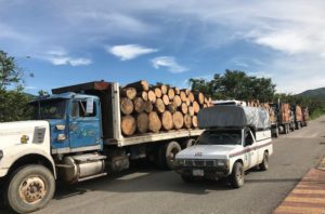 Retienen comunidades de Ayutla seis camiones madereros para que suspendan la tala en la zona