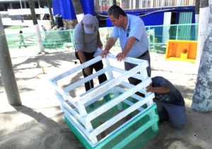 Ayudan hoteles a tortugas a desovar en playas de la bahía de Acapulco