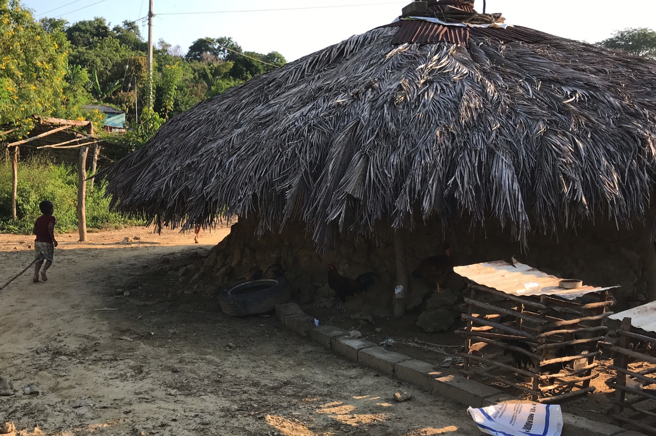Tecoyame, Oaxaca. Imagen del último redondo de la Costa Chica de Guerrero y Oaxaca, construido de bejucos, barro y techo de palma de coco. Foto: Lenin Ocampo Torres