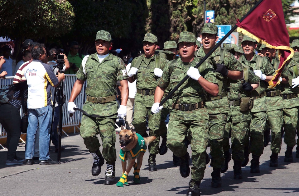 Militares marchan en Chilpancingo en el desfile para conmemorar el centésimo sétimo aniversario de la Revolución Mexicana. Foto: Jessica Torres Barrera