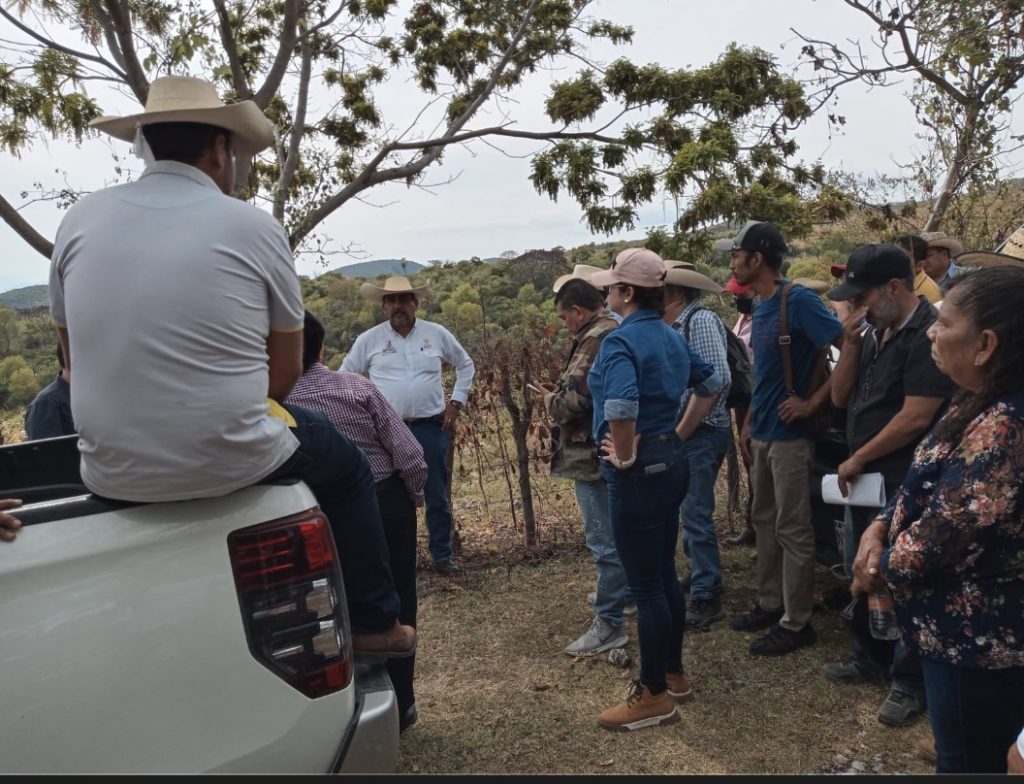 Construirán una carretera para promover la zona arqueológica de Cuetlajuchitlán, Huitzuco El