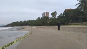 Muere un turista belga mordido por un animal en playa Quieta en Ixtapa; hay otra herida