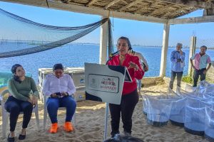 Apoyará el gobierno federal con créditos blandos a hoteleros y restauranteros tras Otis
