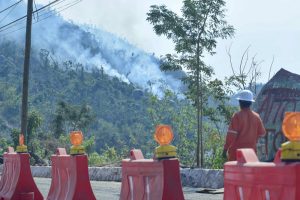 Ya controlados entre el 70 y 80% los dos incendios forestales en El Veladero