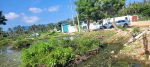 Hay planteles en el Cobach colapsados al 100 por ciento, sin clases, dice el director general